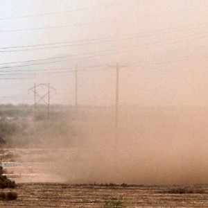 Valley Fever
